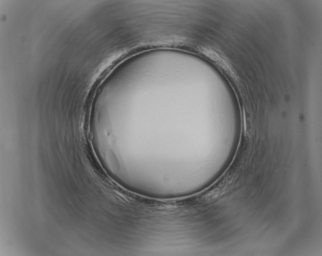 X0000069380483200606091655