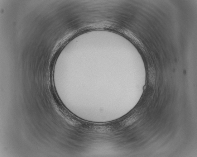 X0000069380486200606091655