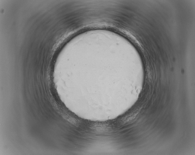 X0000069380487200606091655