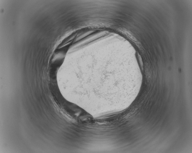 X0000069380488200606091654