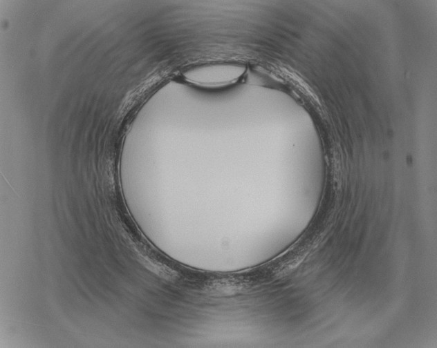 X0000069380489200606091654