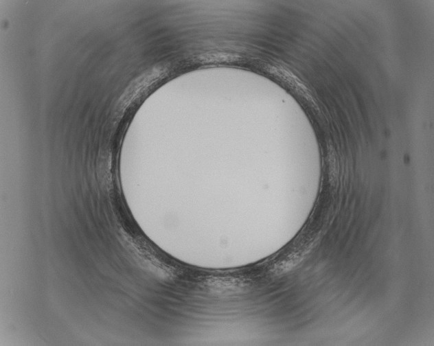 X0000069380490200606091654