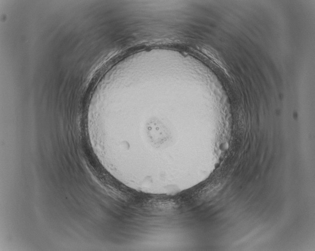 X0000069380491200606091654