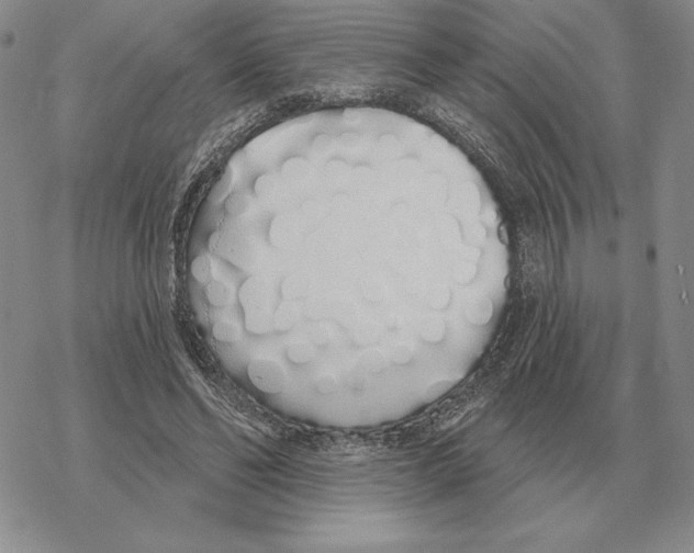 X0000069380494200606091654