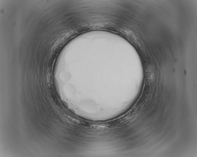 X0000069380495200606091654