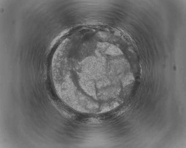 X0000069380496200606091654