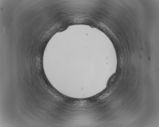 X0000069380497200606091654