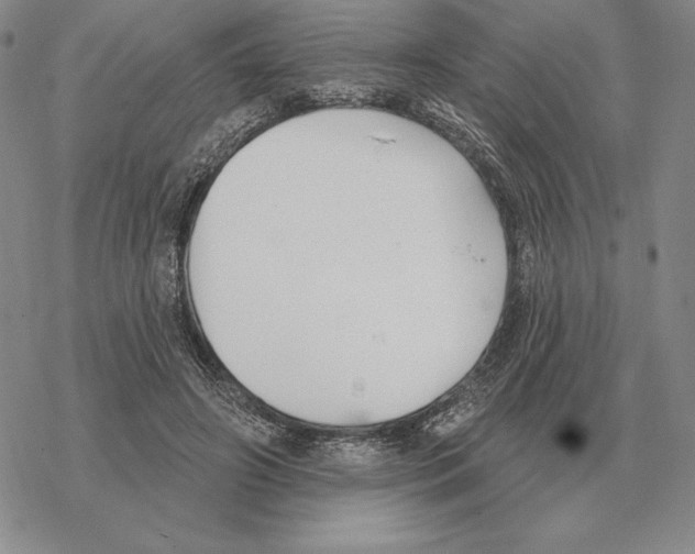 X0000069380498200606091654