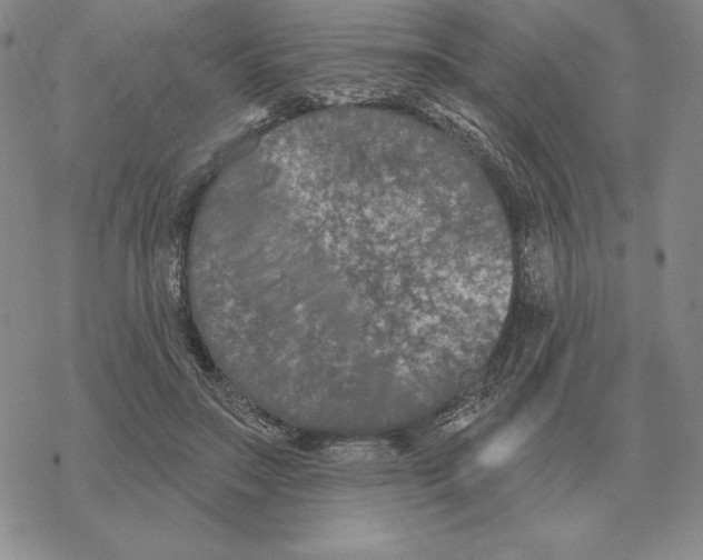 X0000069380499200606091654