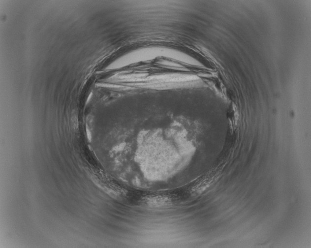 X0000069380500200606091654