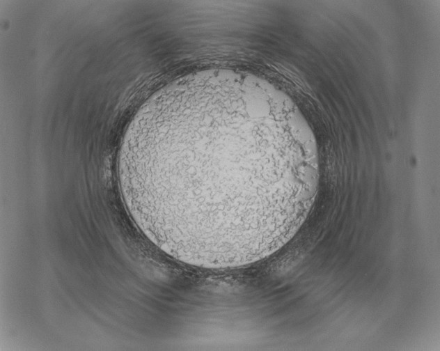 X0000069380502200606091654