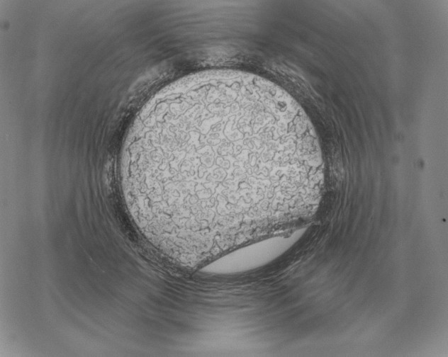 X0000069380503200606091654