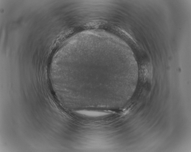 X0000069380504200606091654