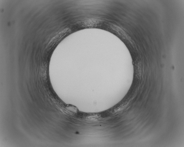 X0000069380505200606091654