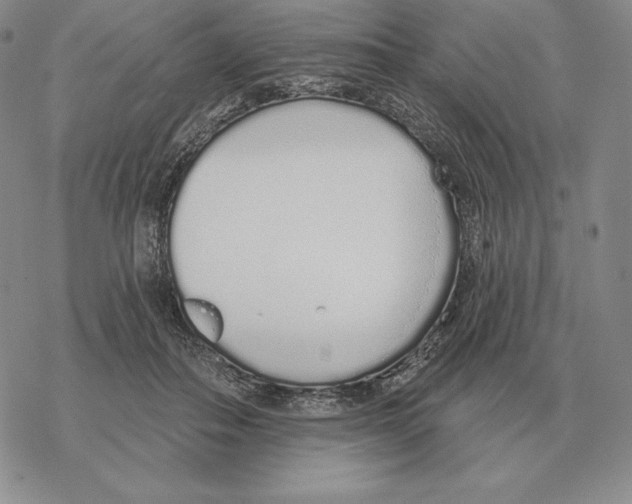 X0000069380506200606091654