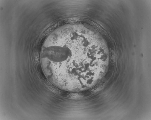 X0000069380507200606091654