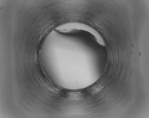 X0000069380508200606091654