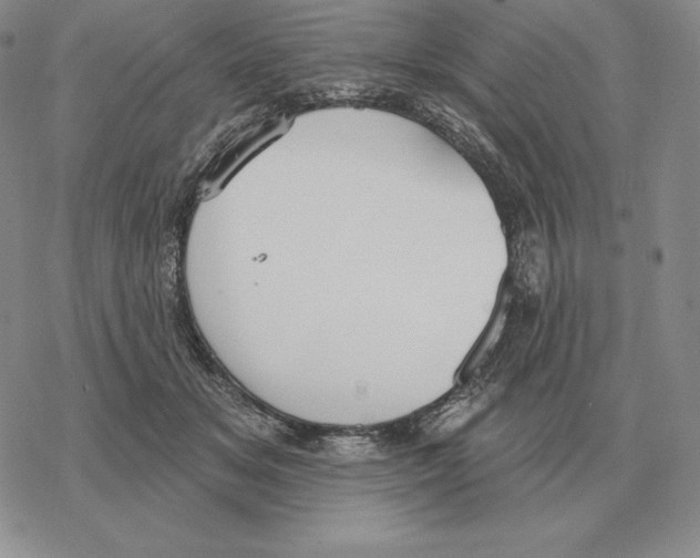 X0000069380509200606091654