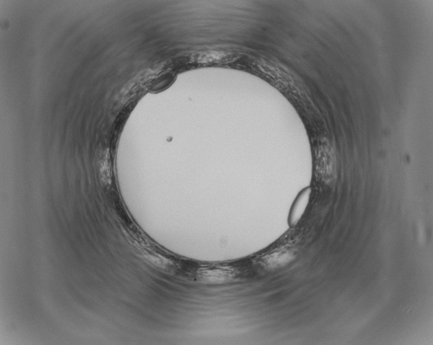 X0000069380510200606091654