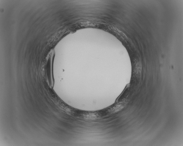 X0000069380513200606091654