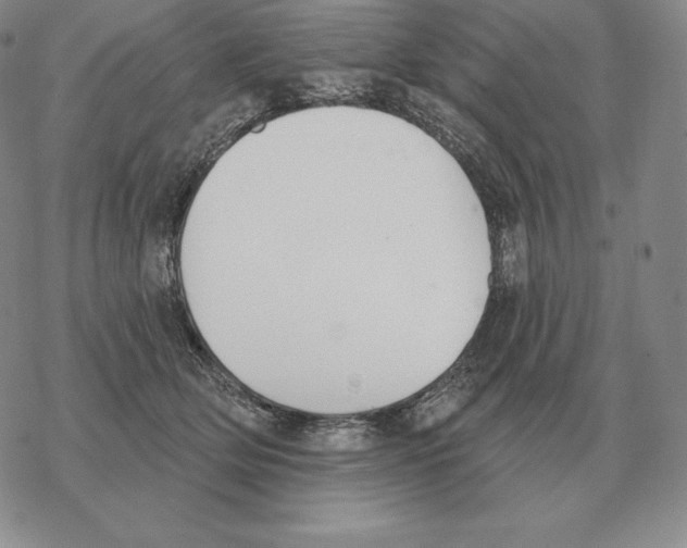 X0000069380514200606091654