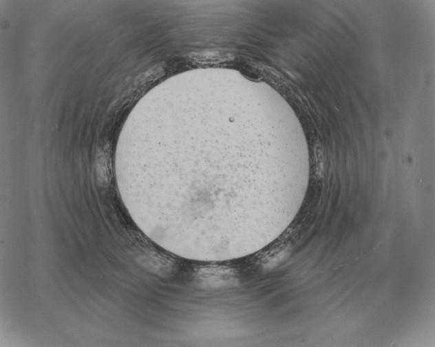 X0000069380515200606091654