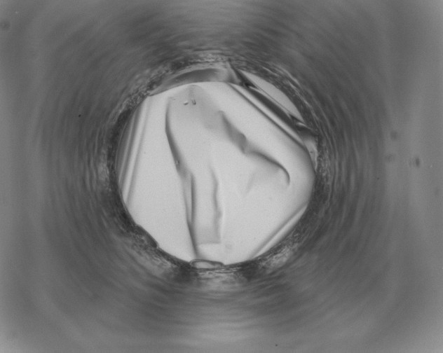 X0000069380516200606091654