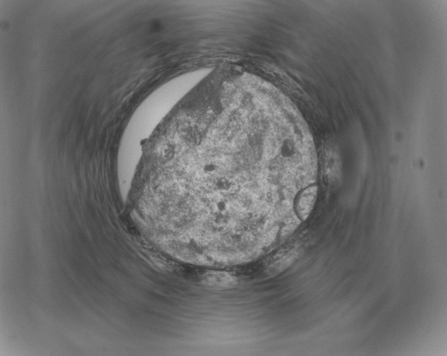 X0000069380519200606091654