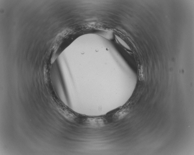 X0000069380520200606091654