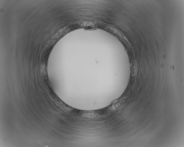 X0000069380521200606091654