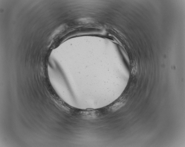 X0000069380524200606091654