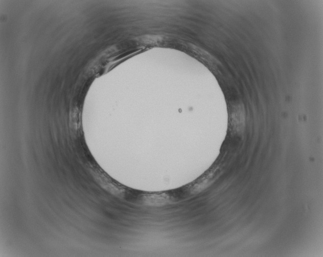 X0000069380525200606091654