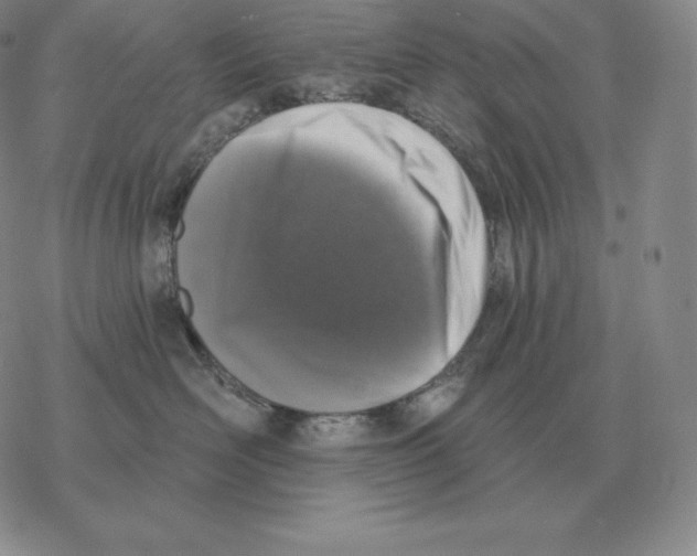 X0000069380526200606091654