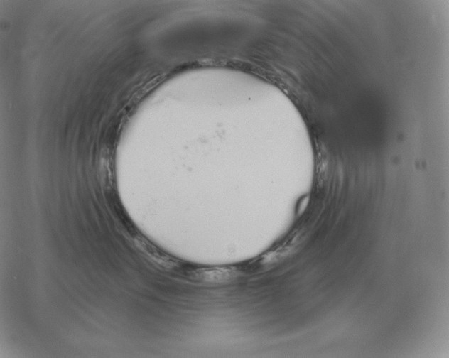 X0000069380527200606091654