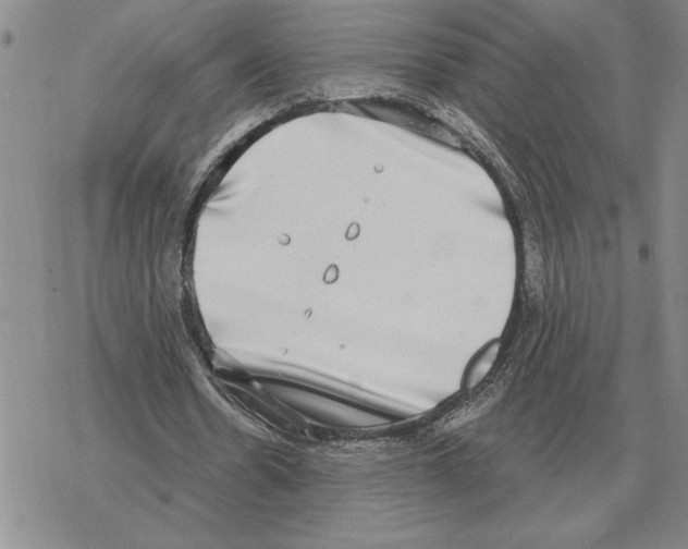 X0000069380530200606091653