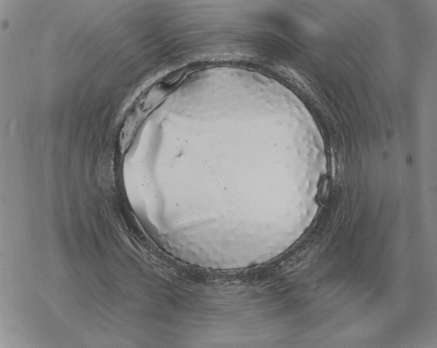 X0000069380531200606091653