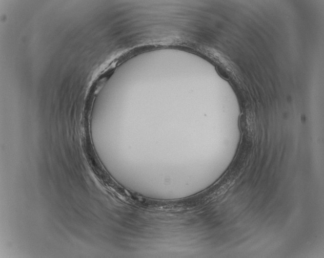 X0000069380532200606091653