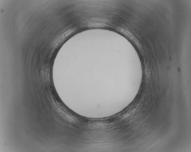 X0000069380533200606091653