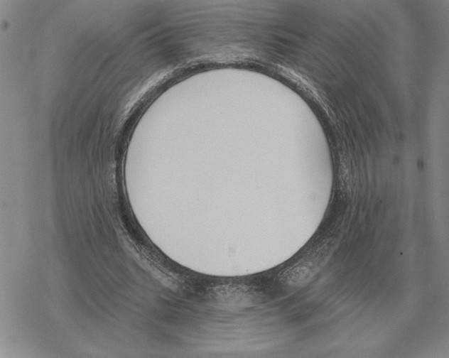 X0000069380535200606091653