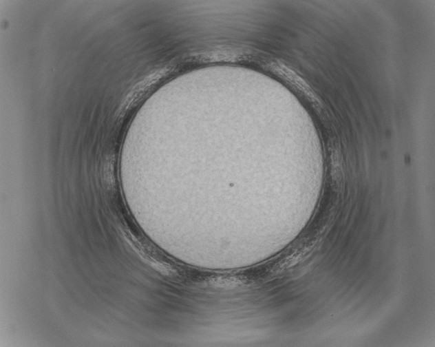 X0000069380537200606091653