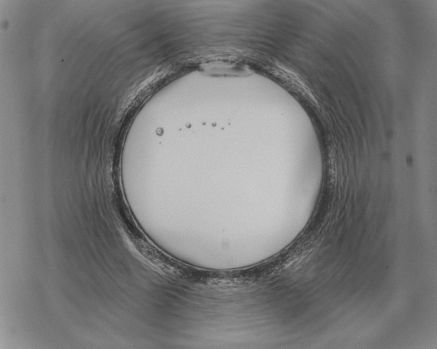 X0000069380538200606091653