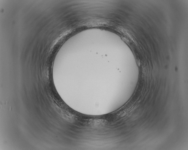 X0000069380539200606091653