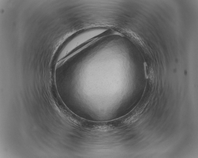 X0000069380540200606091653