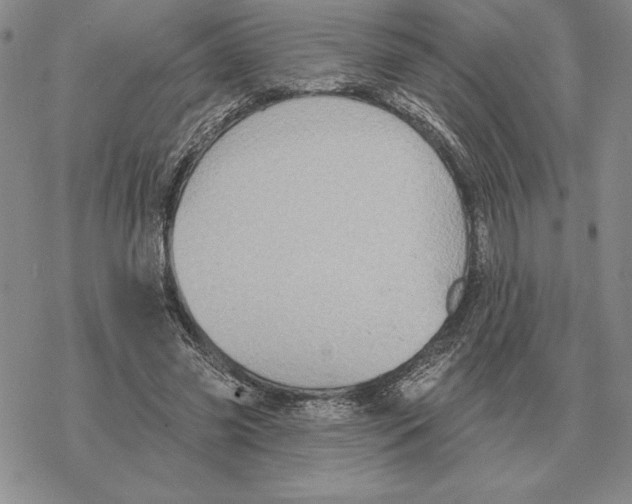 X0000069380541200606091653