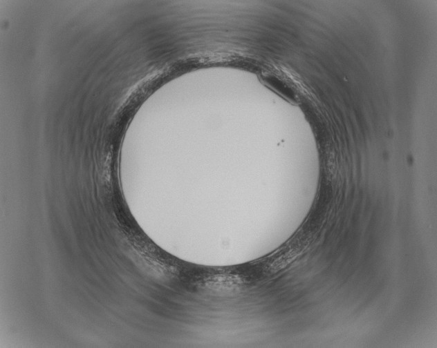 X0000069380543200606091653