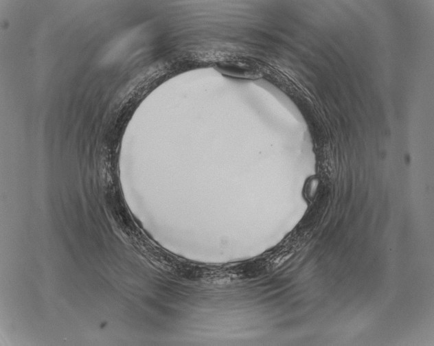 X0000069380547200606091653