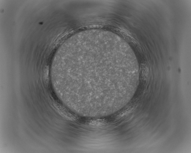 X0000069380550200606091653