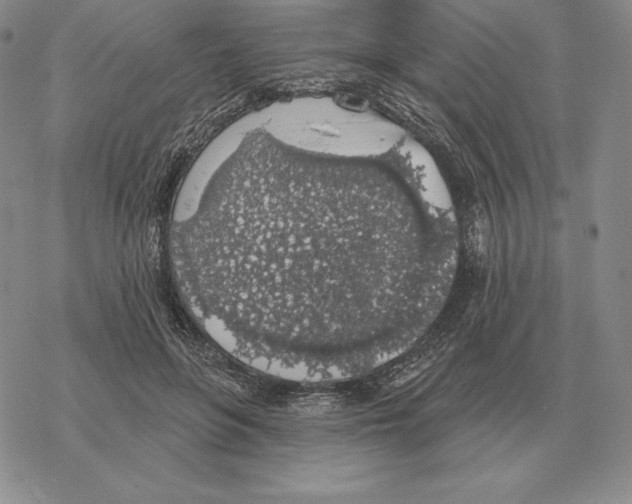 X0000069380551200606091653