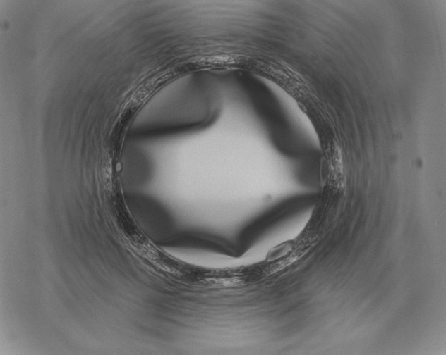 X0000069380552200606091653