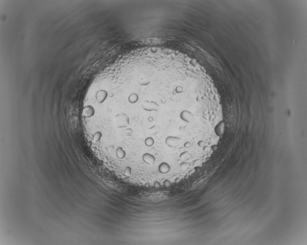 X0000069380553200606091653